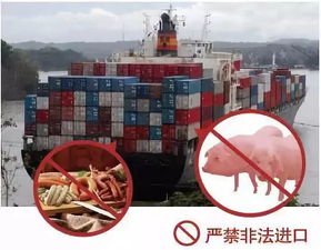 非洲猪瘟来袭，陆川猪肉还能安全食用吗？科学解析与医学研究进展